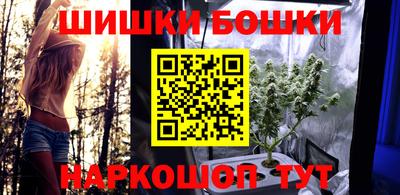 индика Боровичи