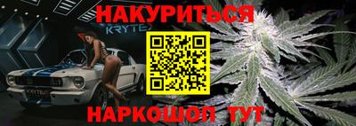 индика Боровичи