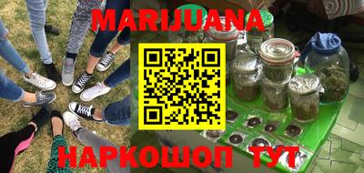 индика Боровичи