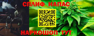 индика Боровичи