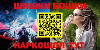 индика Боровичи