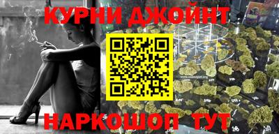 индика Боровичи