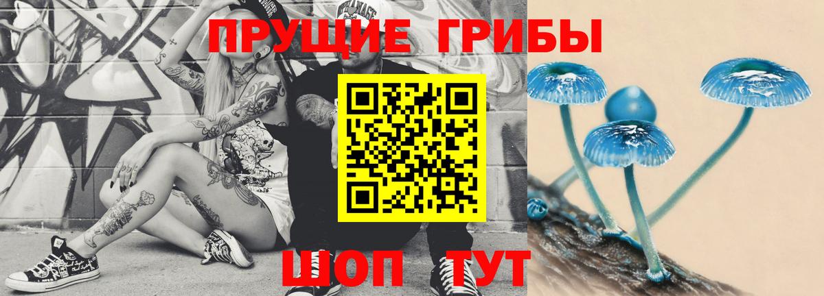 Псилоцибиновые грибы Cubensis  цены наркотик  Кольчугино  Вход с VPN 